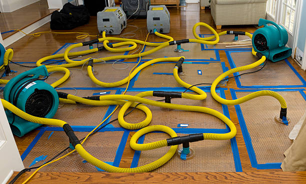 Professional Crawl Space Water Removal technician working in Montague, TX